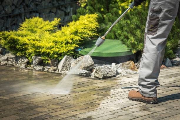 Best Winterizing Services  in Princeton, TX