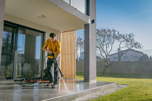 Best Solar Panel Cleaning  in Princeton, TX