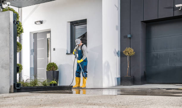 Best Soft Washing  in Princeton, TX